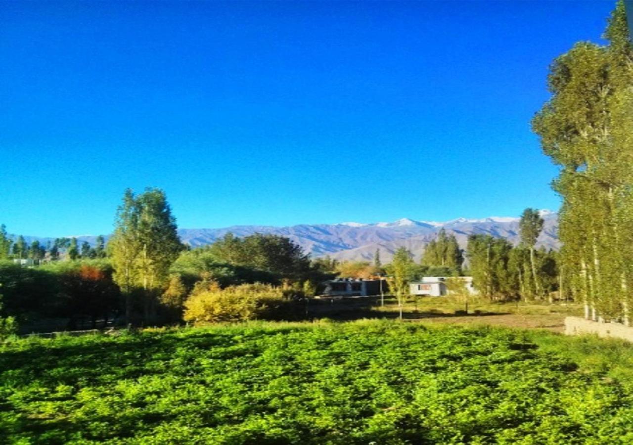 Hotel Ladakh Heaven Лех Экстерьер фото