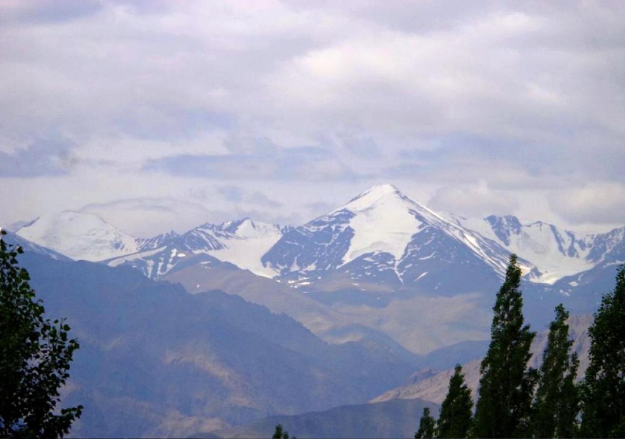 Hotel Ladakh Heaven Лех Экстерьер фото
