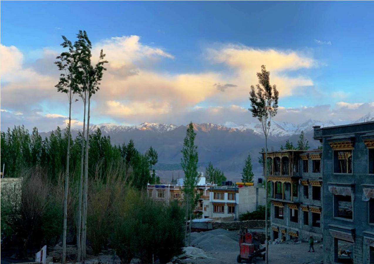Hotel Ladakh Heaven Лех Экстерьер фото